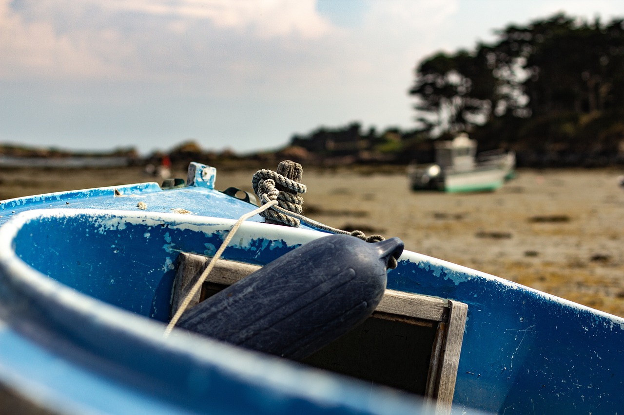 北京最新疫情动态,全面防控与积极应对