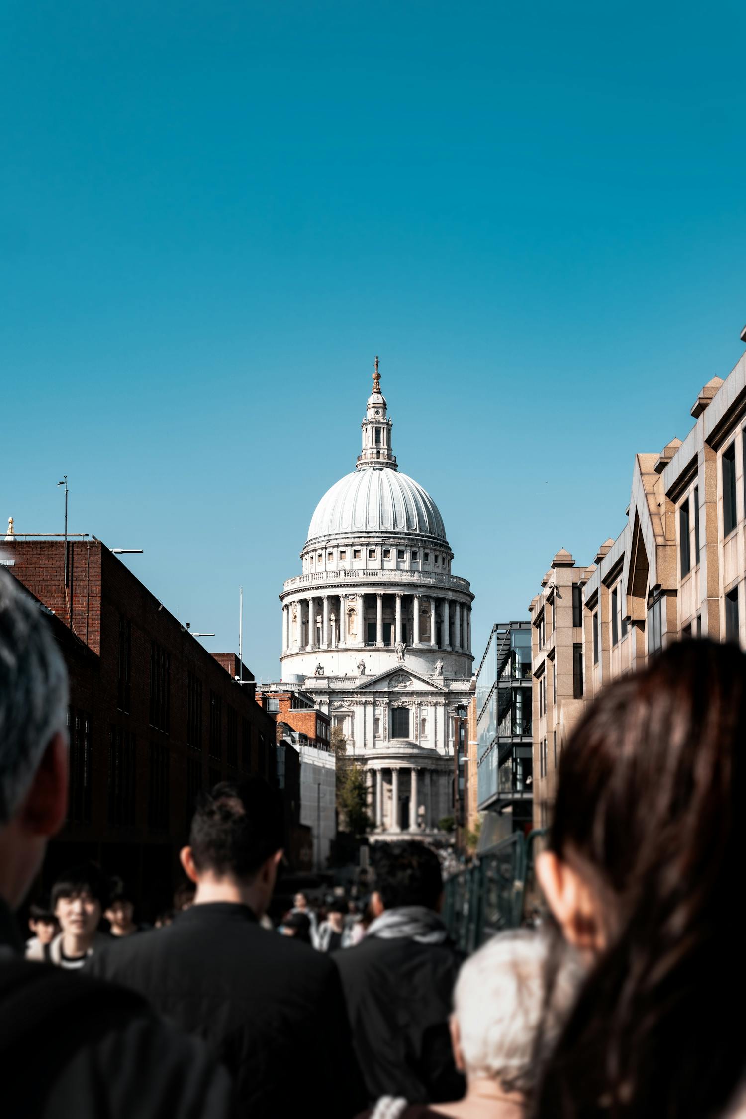 最新伧理电影探索与赏析，深度探索与赏析的影评之旅
