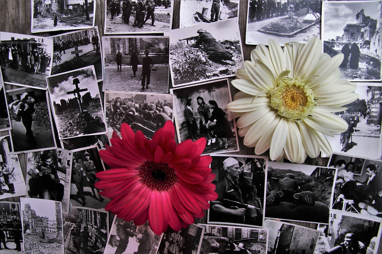 最新文物剧,探寻历史印记与文化脉络