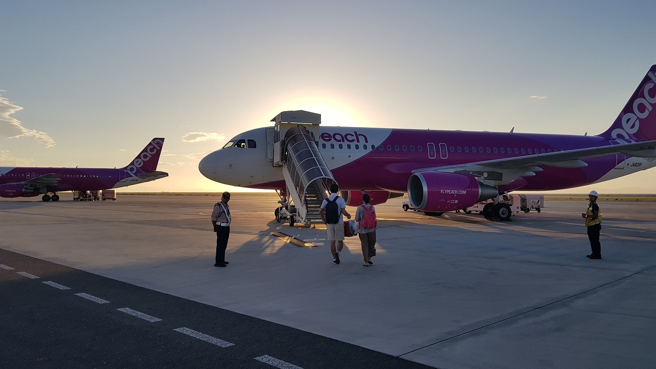 最新国外追逃动态及其国际影响分析