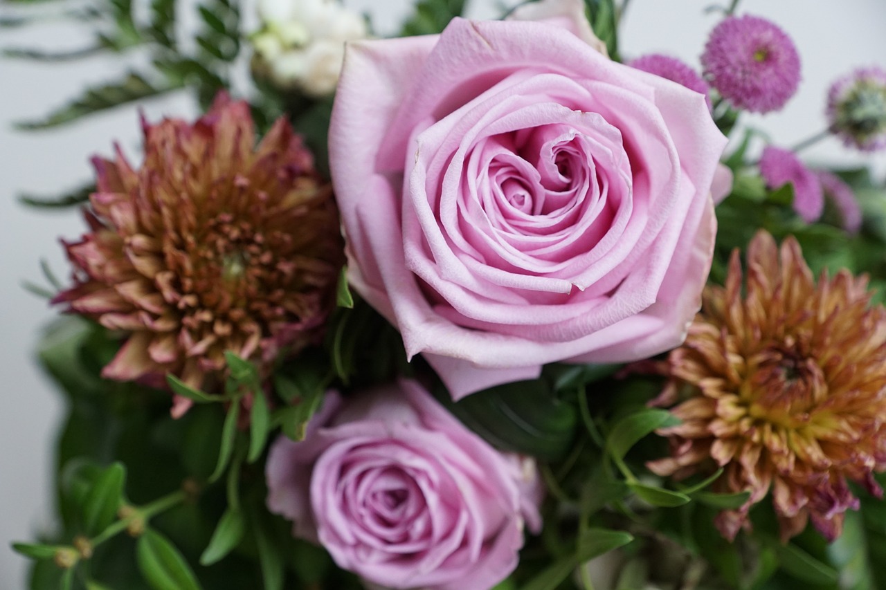 杨美华最新动态,未来之光璀璨绽放