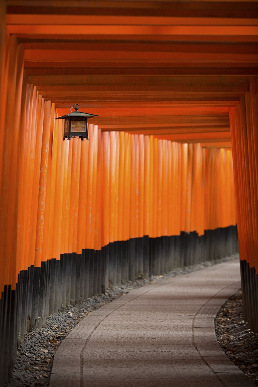 产品展示 第925页