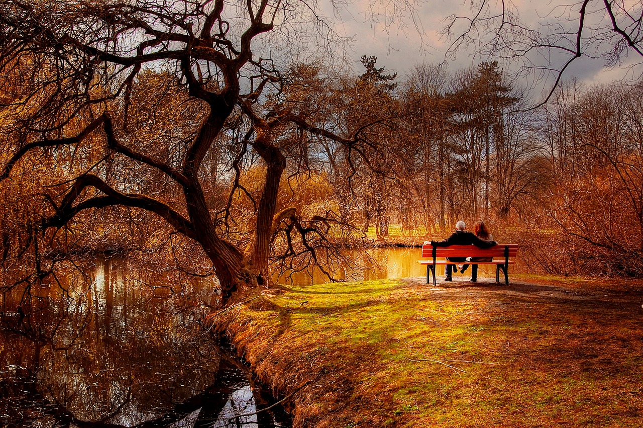 金晨最新恋情动态,揭开明星恋爱神秘面纱的真相