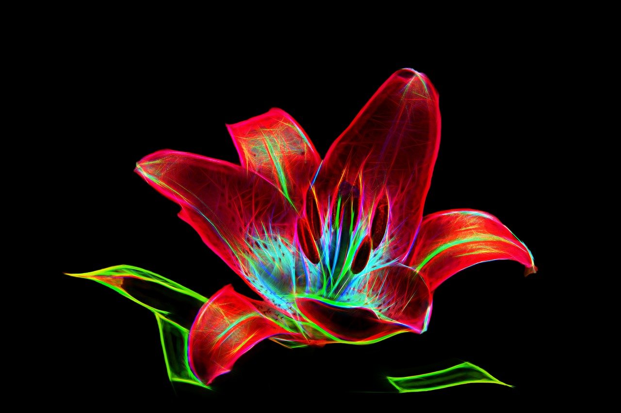 最新花艺图探索，现代花艺的迷人魅力