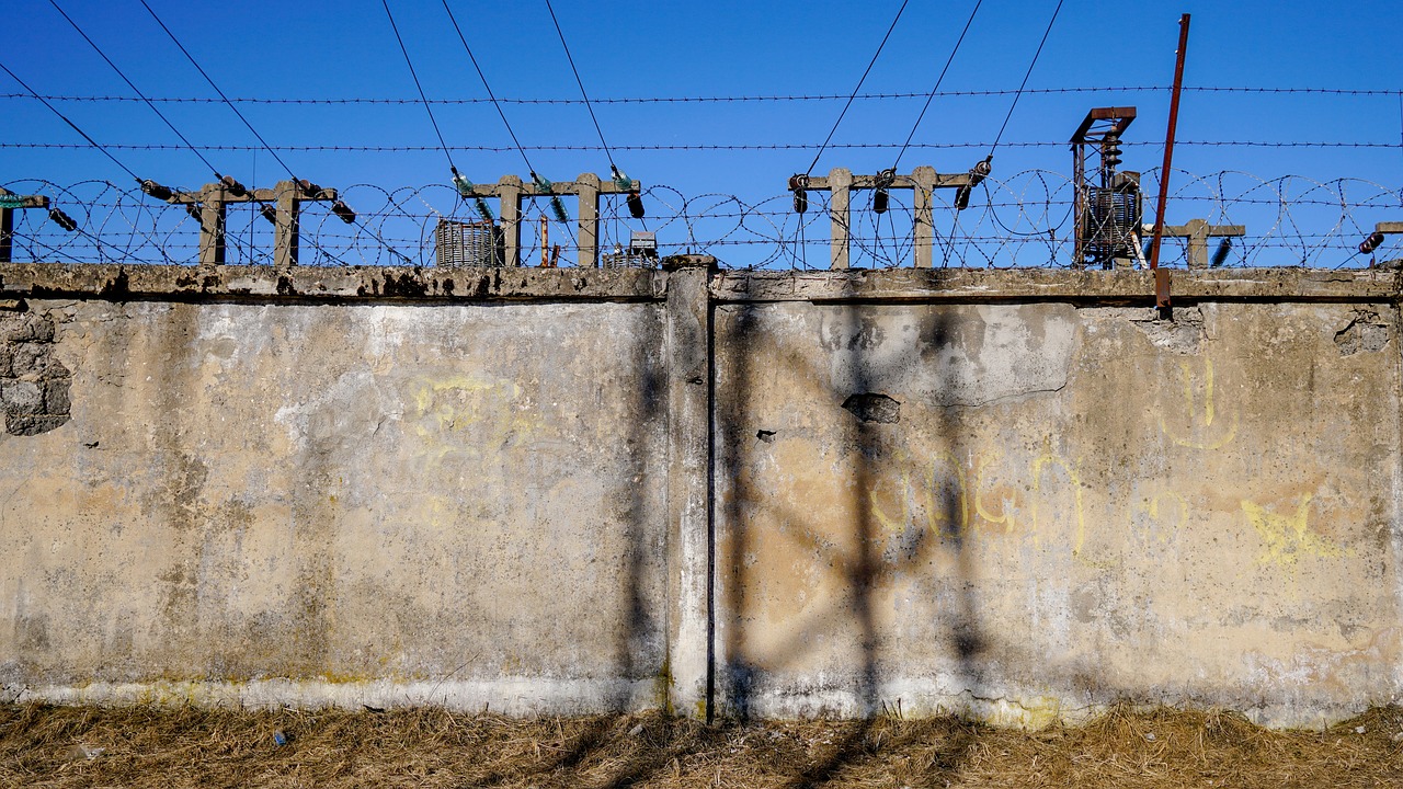 最新高福动态,探索科学前沿,引领未来科技领军之路