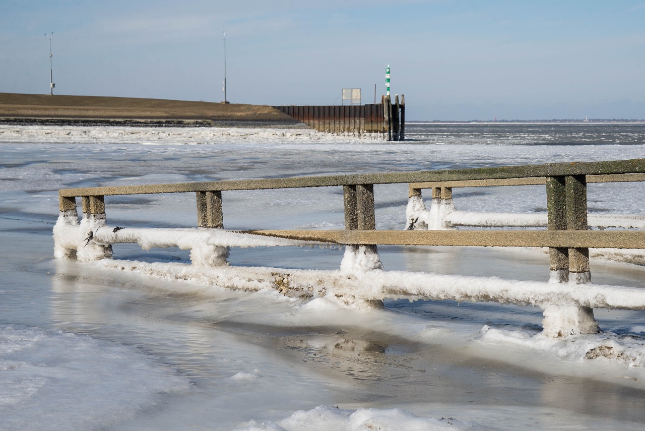 海疫情最新通报更新,疫情动态与防控措施解析