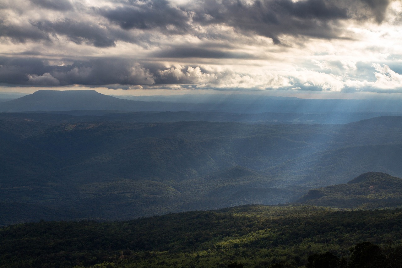 新澳门正版免费资料怎么查,动态解读分析_全球版IS106.2392