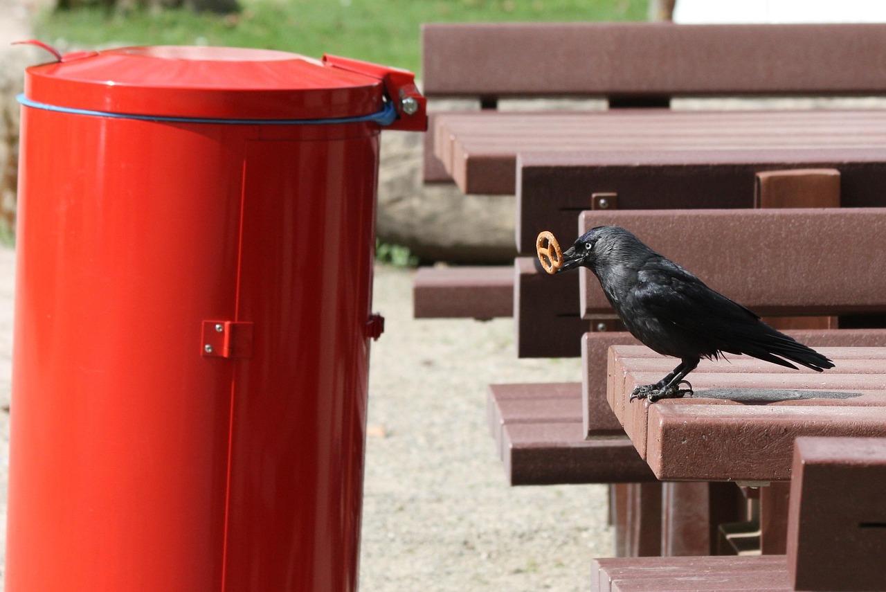 洛阳新增5例疫情,城市动态与防控措施更新