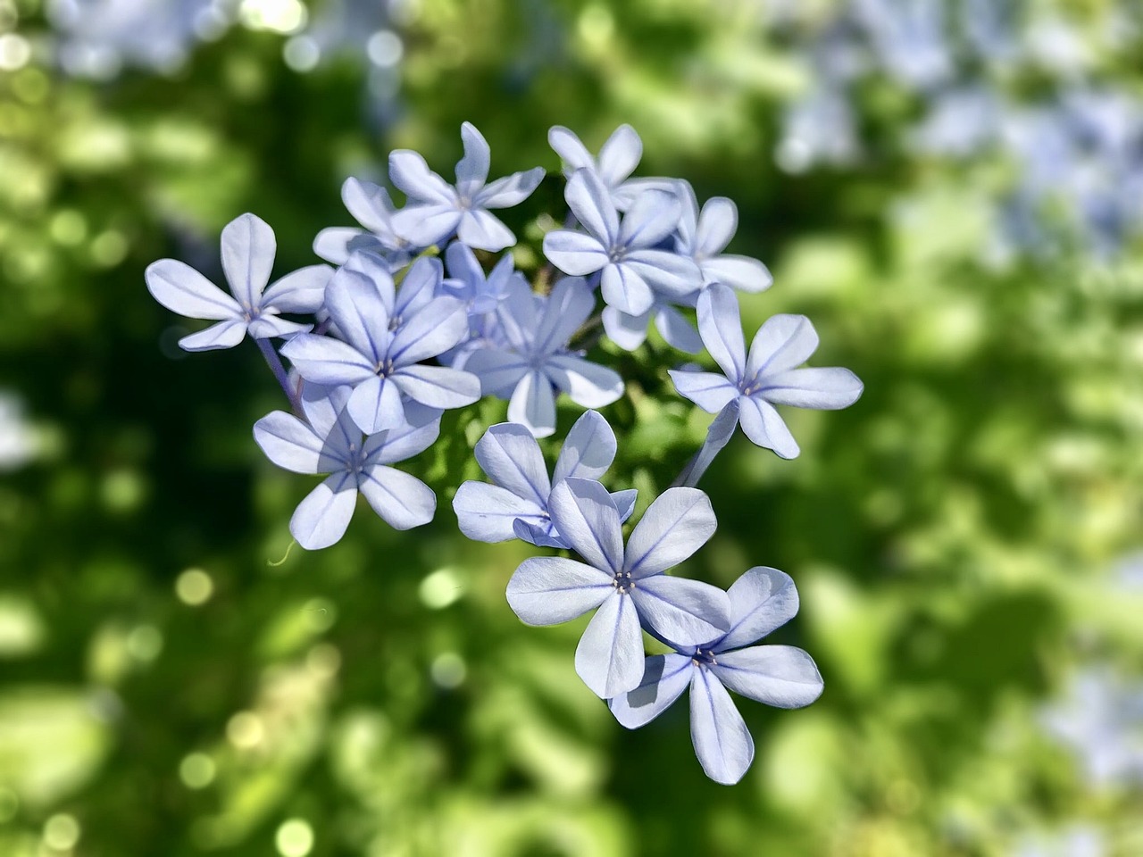 最新恋爱甜剧,青春之恋的璀璨篇章