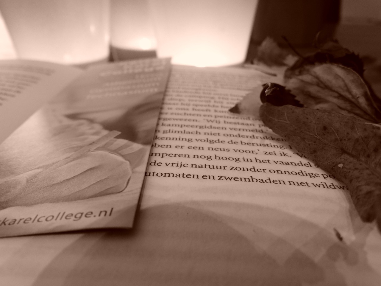 凌翼作家最新力作，探索文学的新疆界