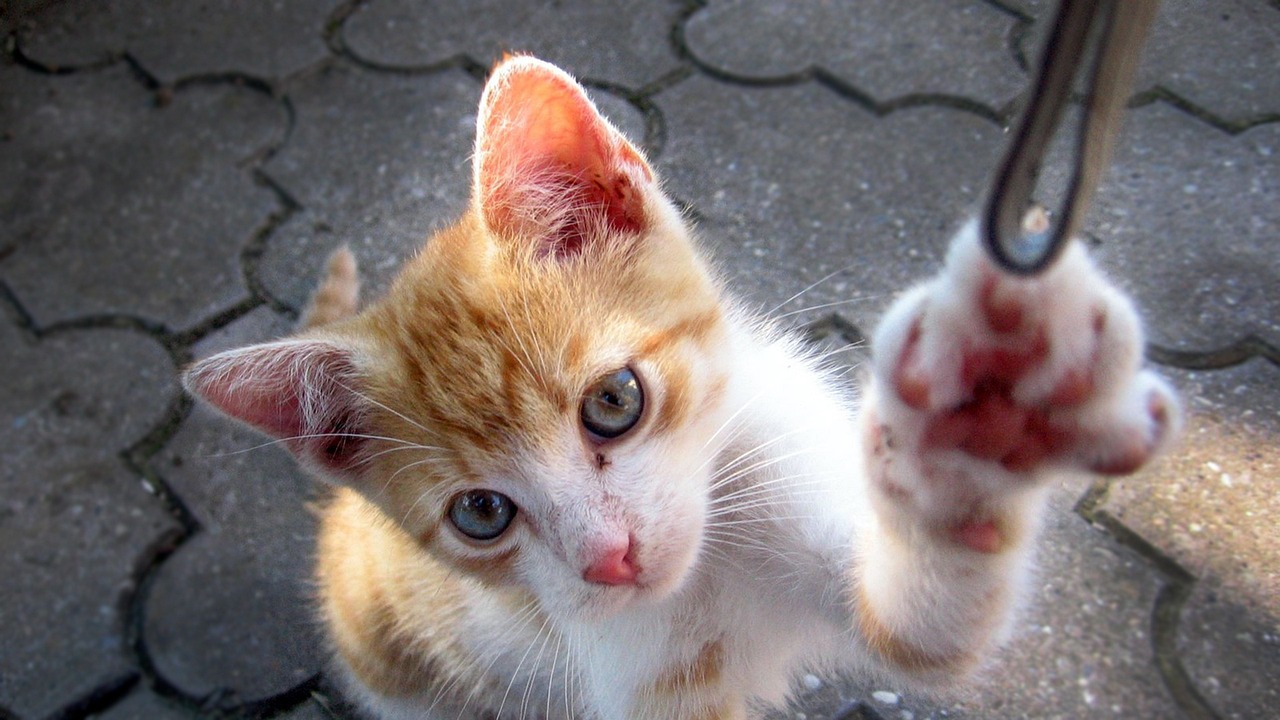 2024年12月 第734页