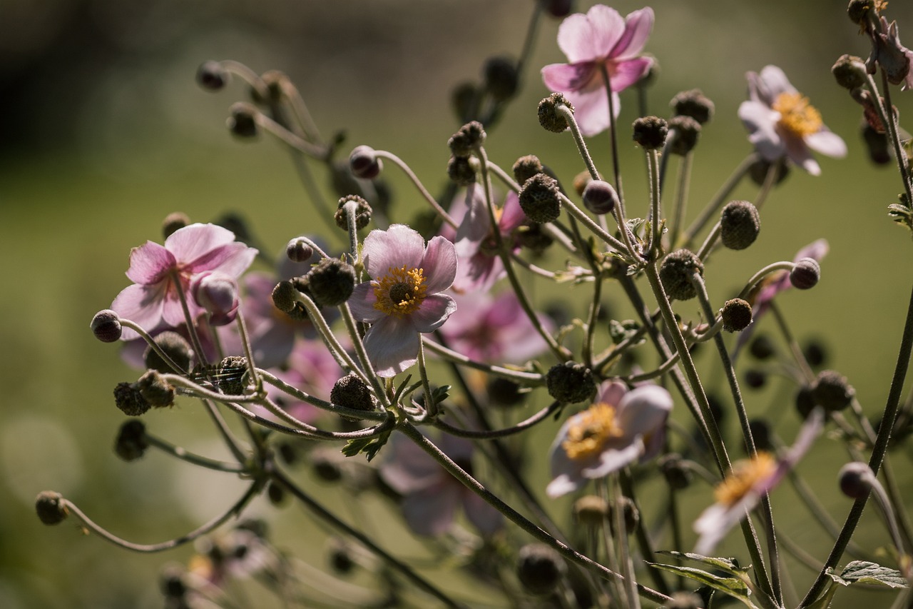 最新疾病分析与应对策略,探索新动态,把握治疗方向
