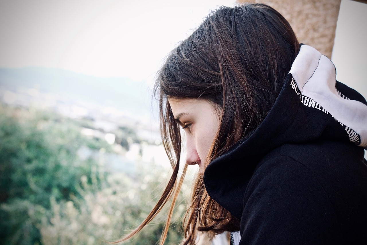 高力房最新动态,创新与发展引领未来潮流