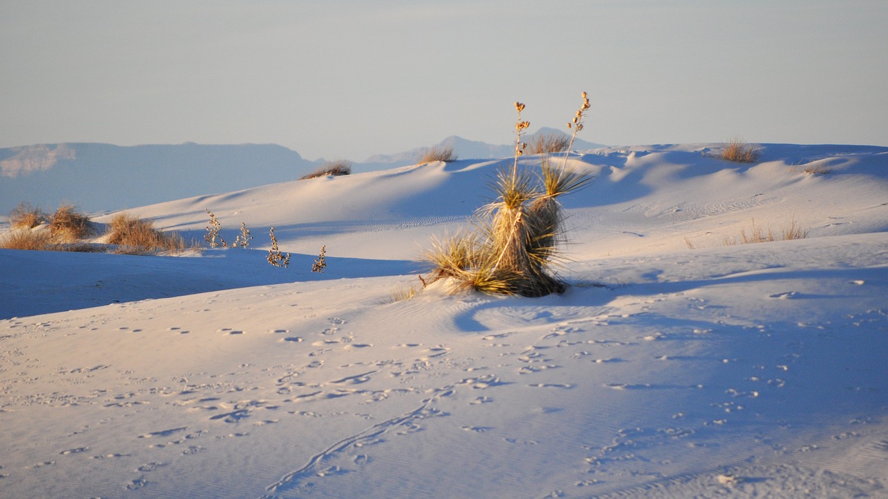 周漾月最新动态,青春之光的璀璨绽放