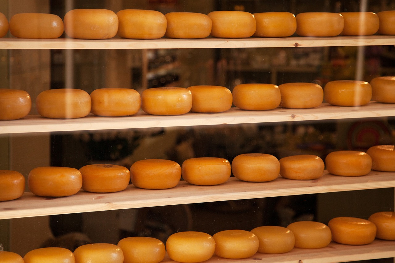 合轻家园最新动态,打造宜居社区,引领现代生活方式