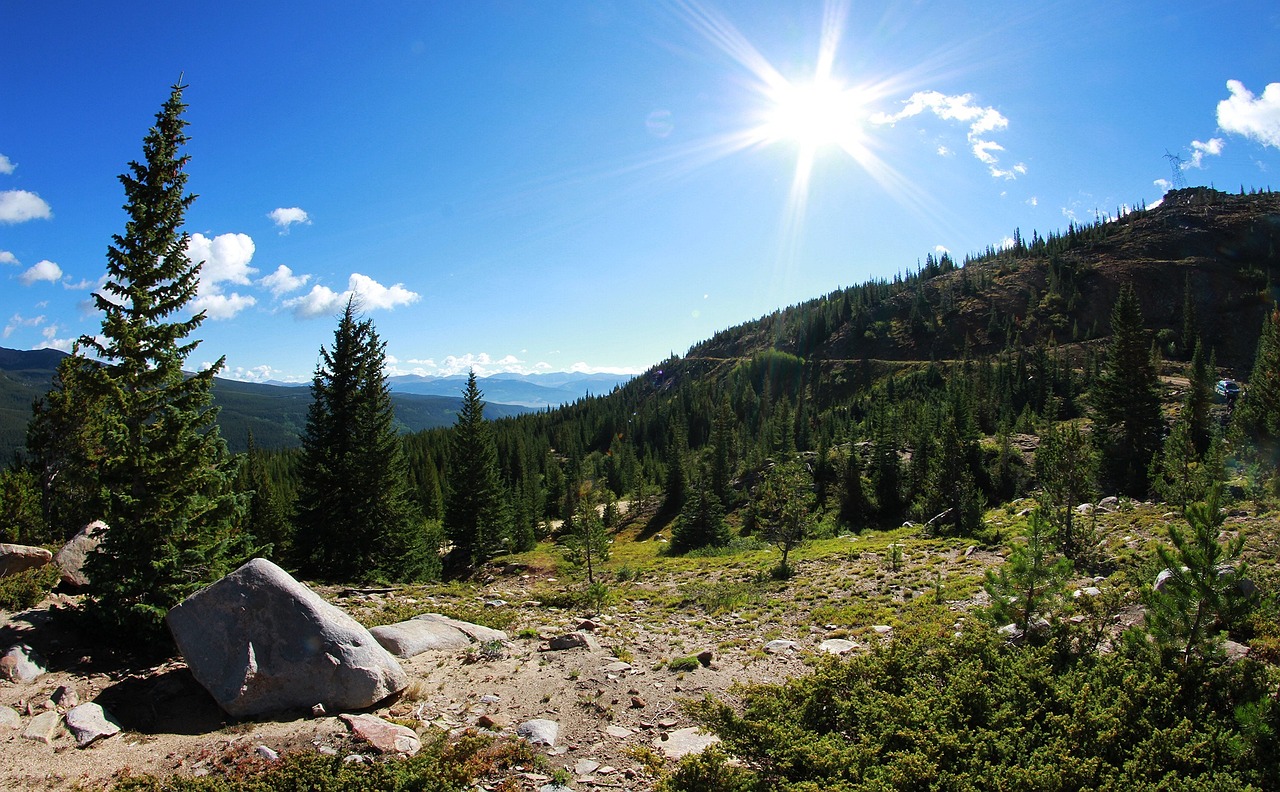 巴塞罗那最新转会信息解析及动态速递