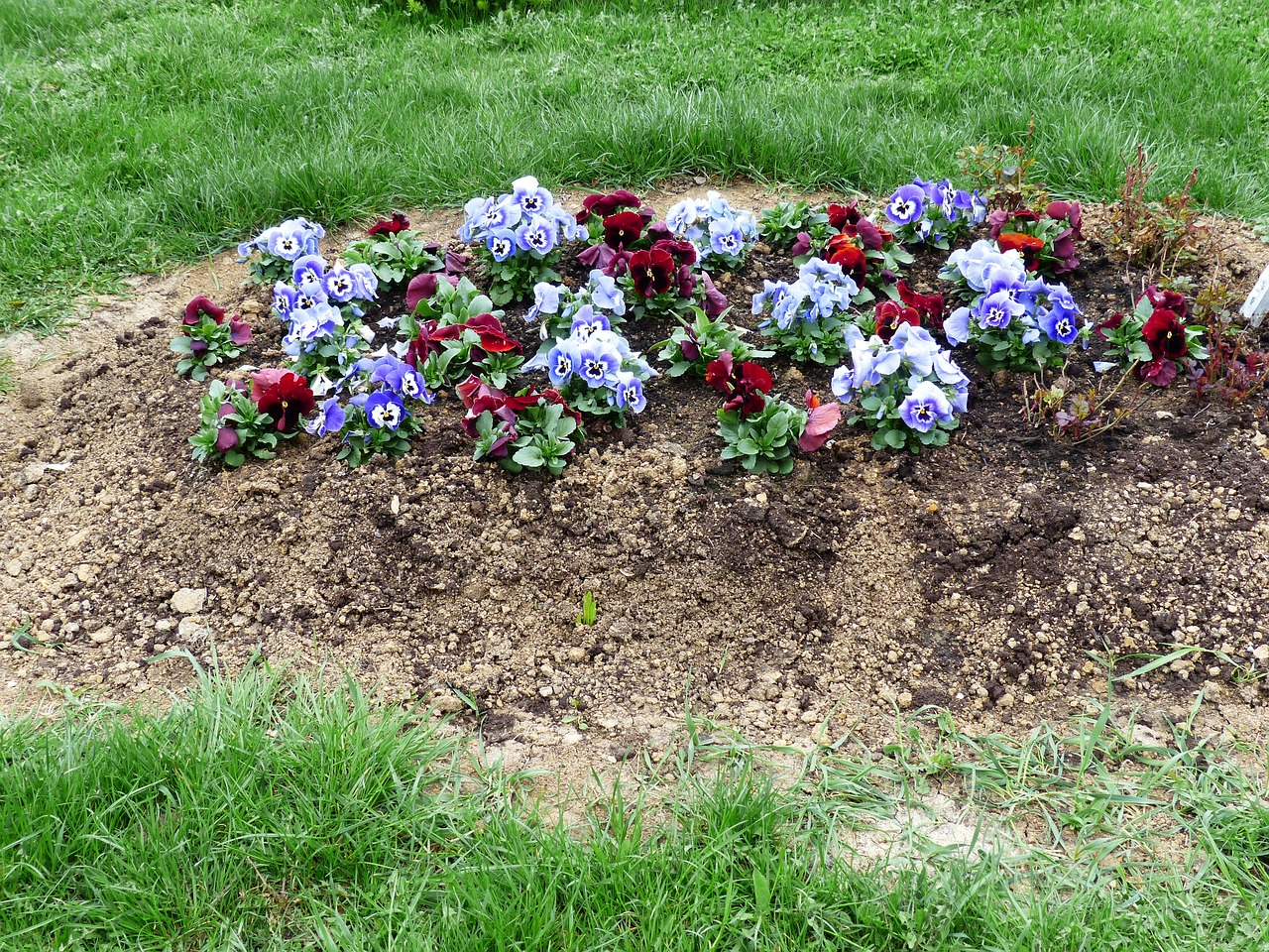 泰国诗妮娜最新动态与风采展示