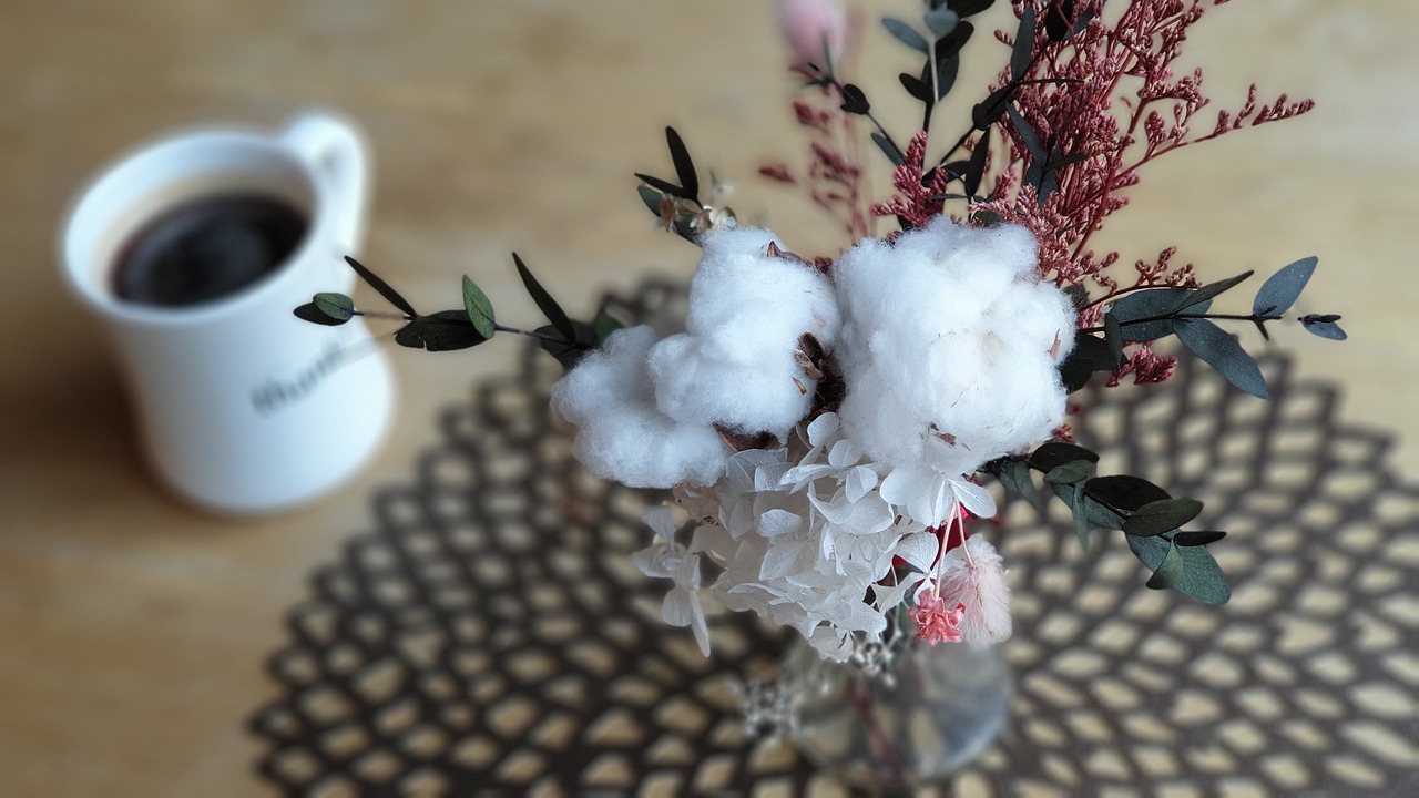 于佳宁最新动态，各领域新星闪耀，展现无限光彩