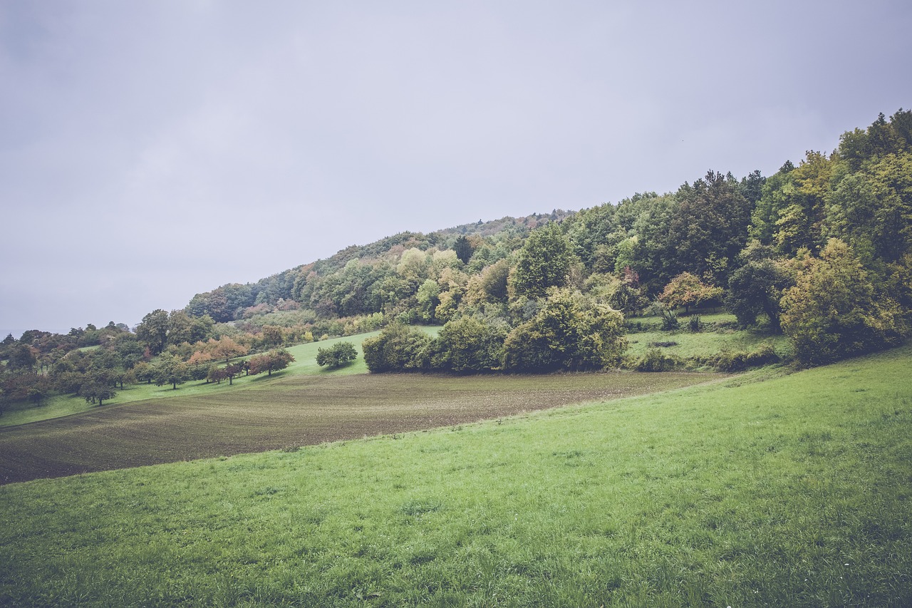 绍兴最新地皮，城市发展的潜力热土与未来展望