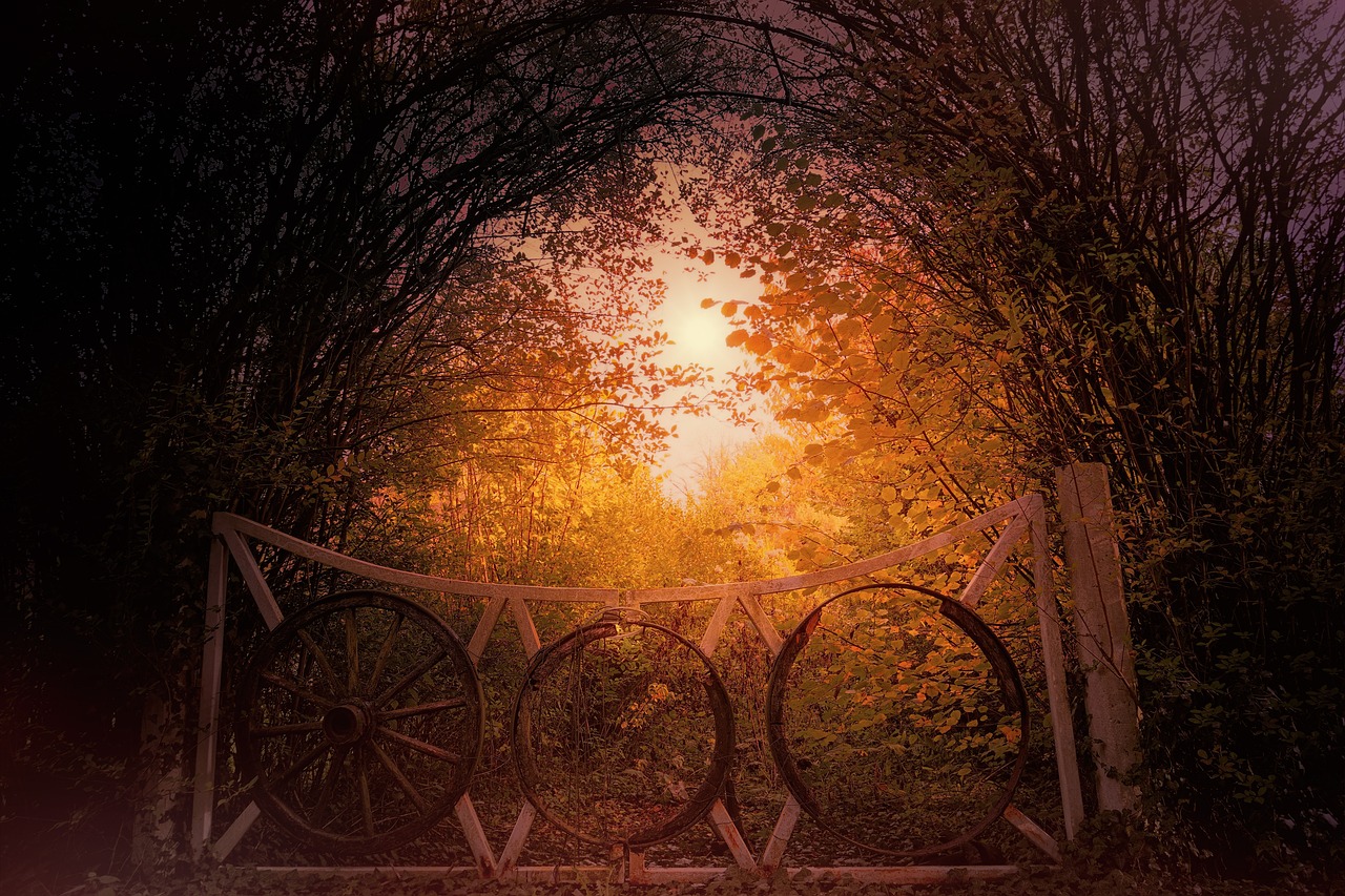 揭秘最新爆炸事件真相及其影响