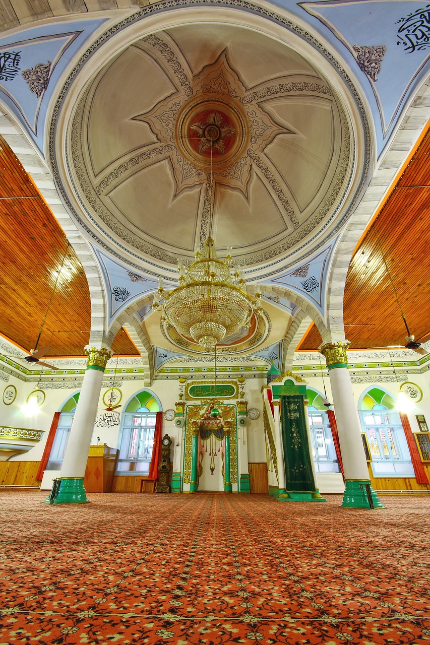 美见App最新动态，重塑视觉体验，引领数字美学潮流