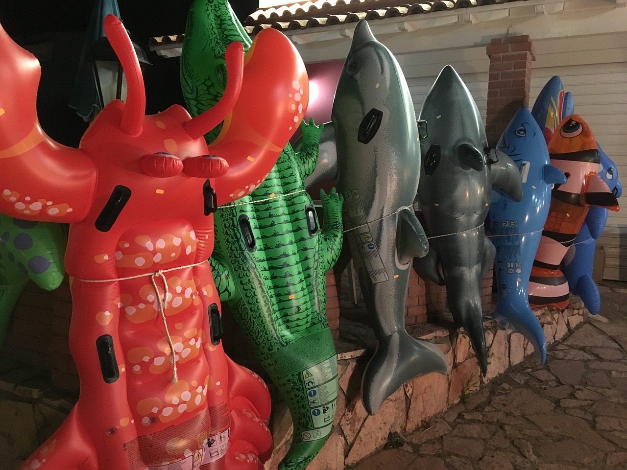 天天的最新视频，探索、创新与乐趣的无界之旅之旅