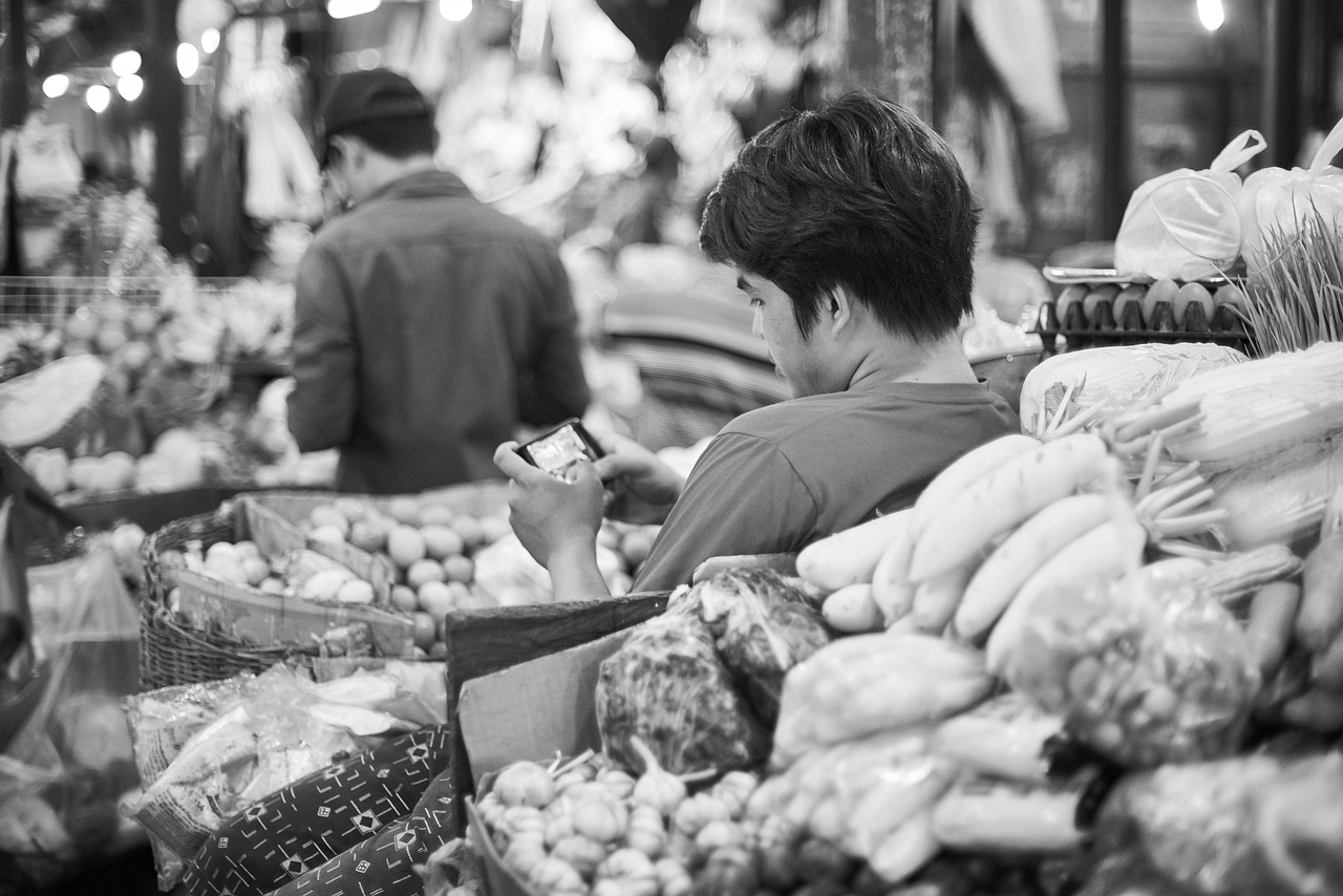 广州美食最新一期,千年食文化魅力之旅探索