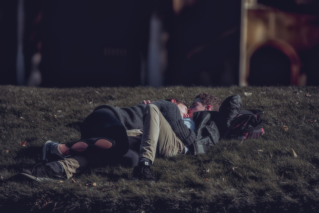 电视剧篱笆女人和狗，情感纠葛与社会洞察的深入探讨