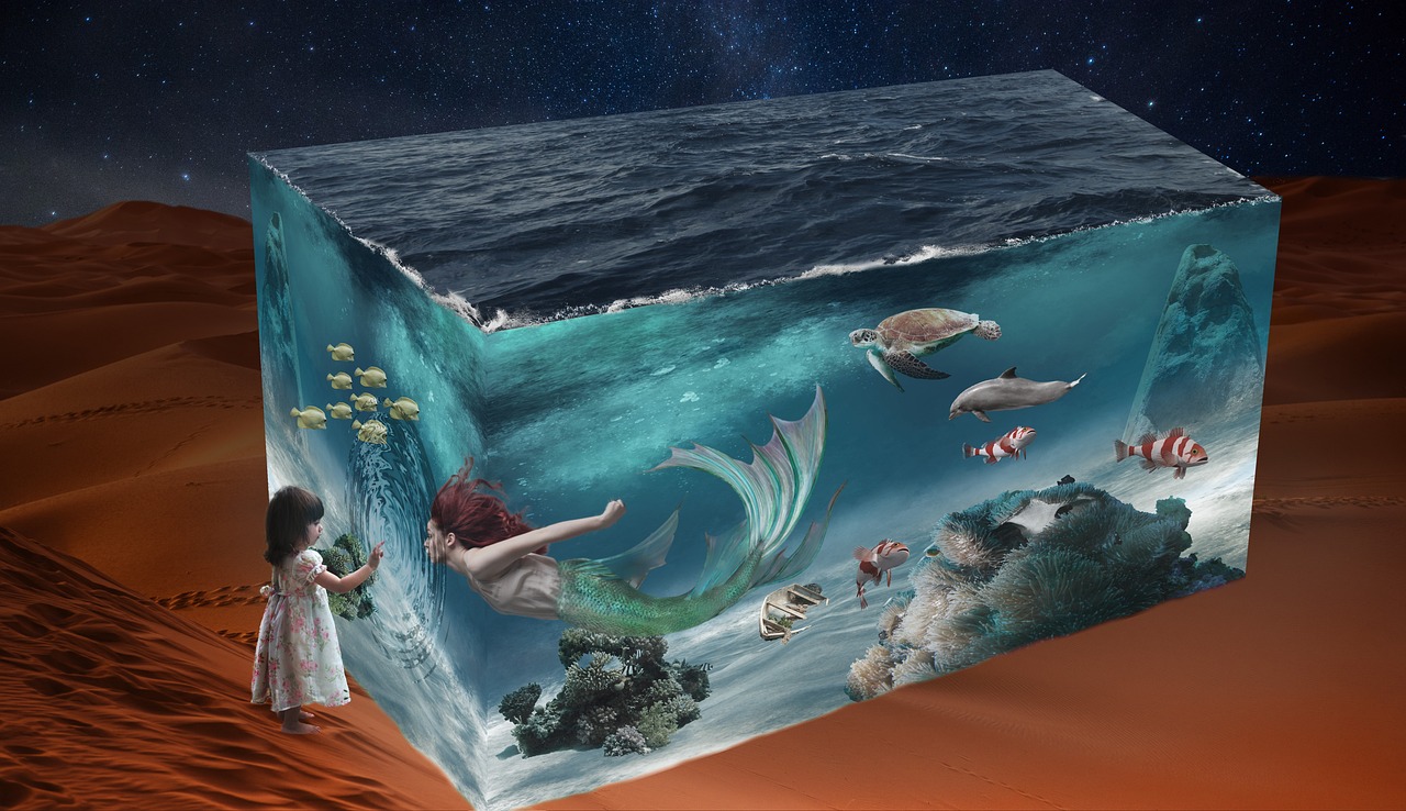 高明余明开最新动态,揭开未来发展新篇章的序幕