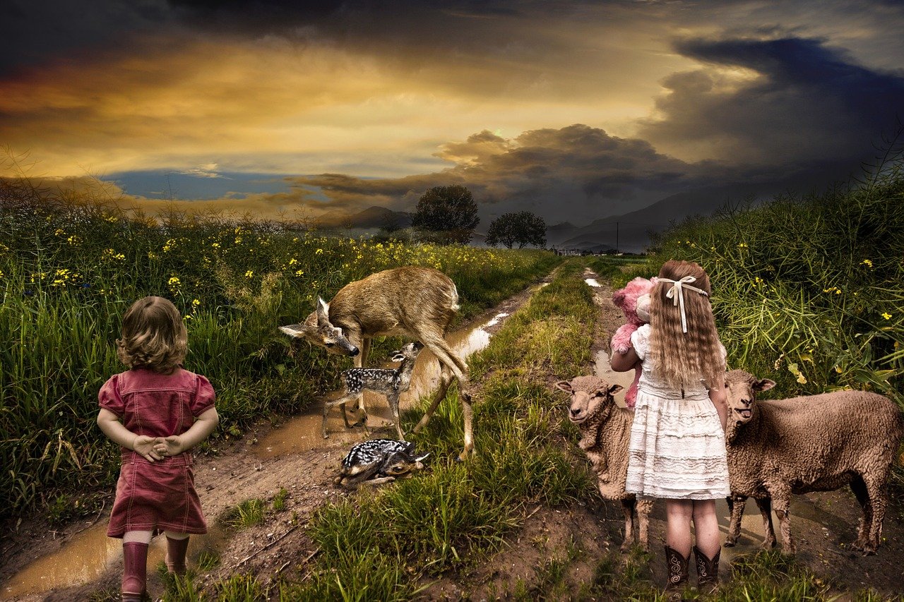 诛仙最新h,奇幻世界的热血传奇之旅