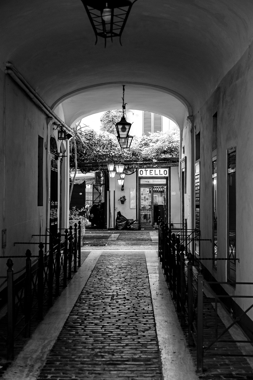 马口最新疫情动态与影响概述