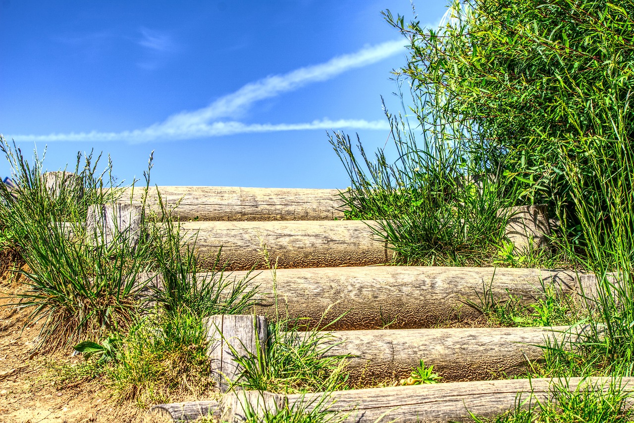 晋城东站最新动态，现代化交通枢纽的崛起与发展