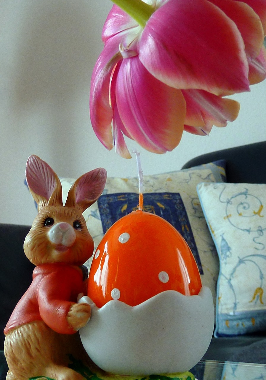 周兴陆的最新动态与成就，突破创新，展现独特风采