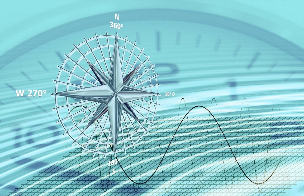 生猪行情深度解析，最新趋势与动态分析