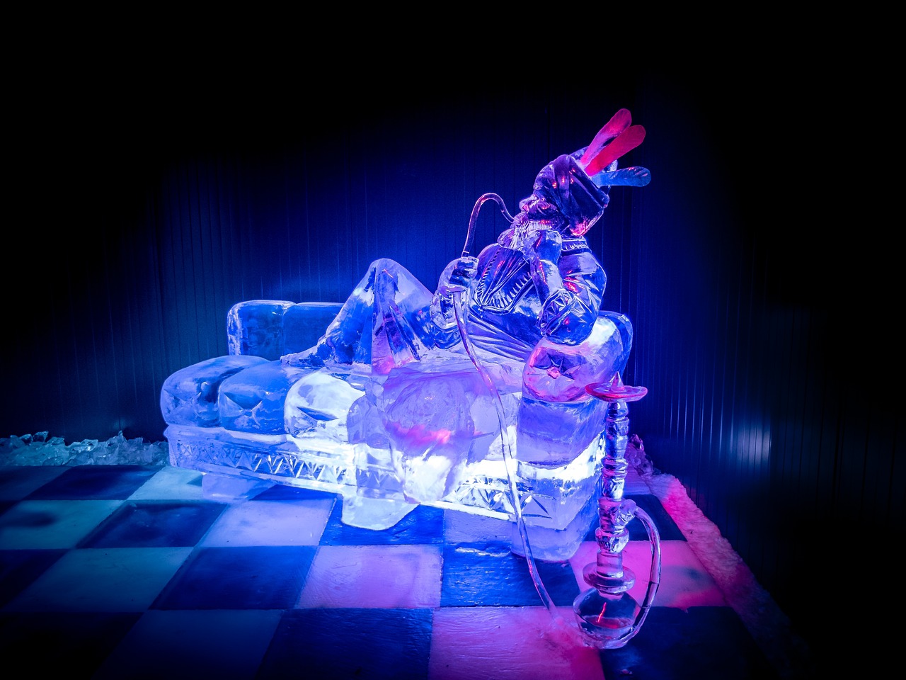 威金斯持续展现篮球天赋，引领新时代潮流的最新动态