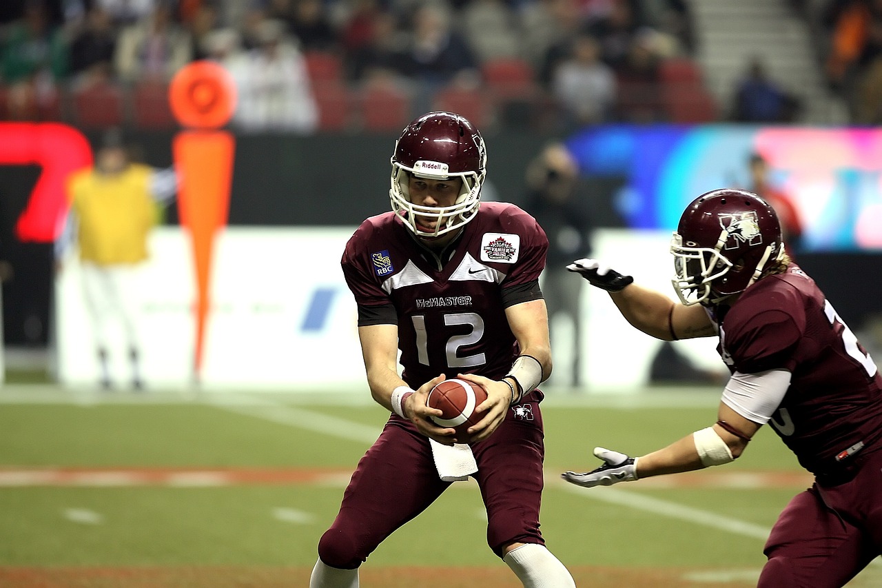 美育教育最新动态,探索未来美育发展之路