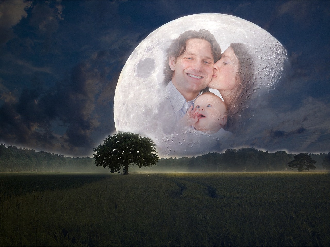 探索神秘世界的无限魅力，龙游戏凤最新版揭秘