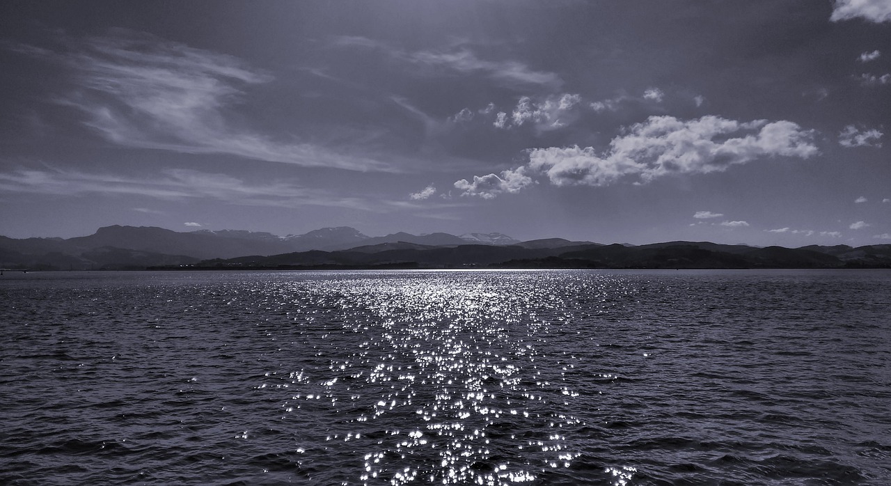 波霸OL最新动态魅力展现全攻略