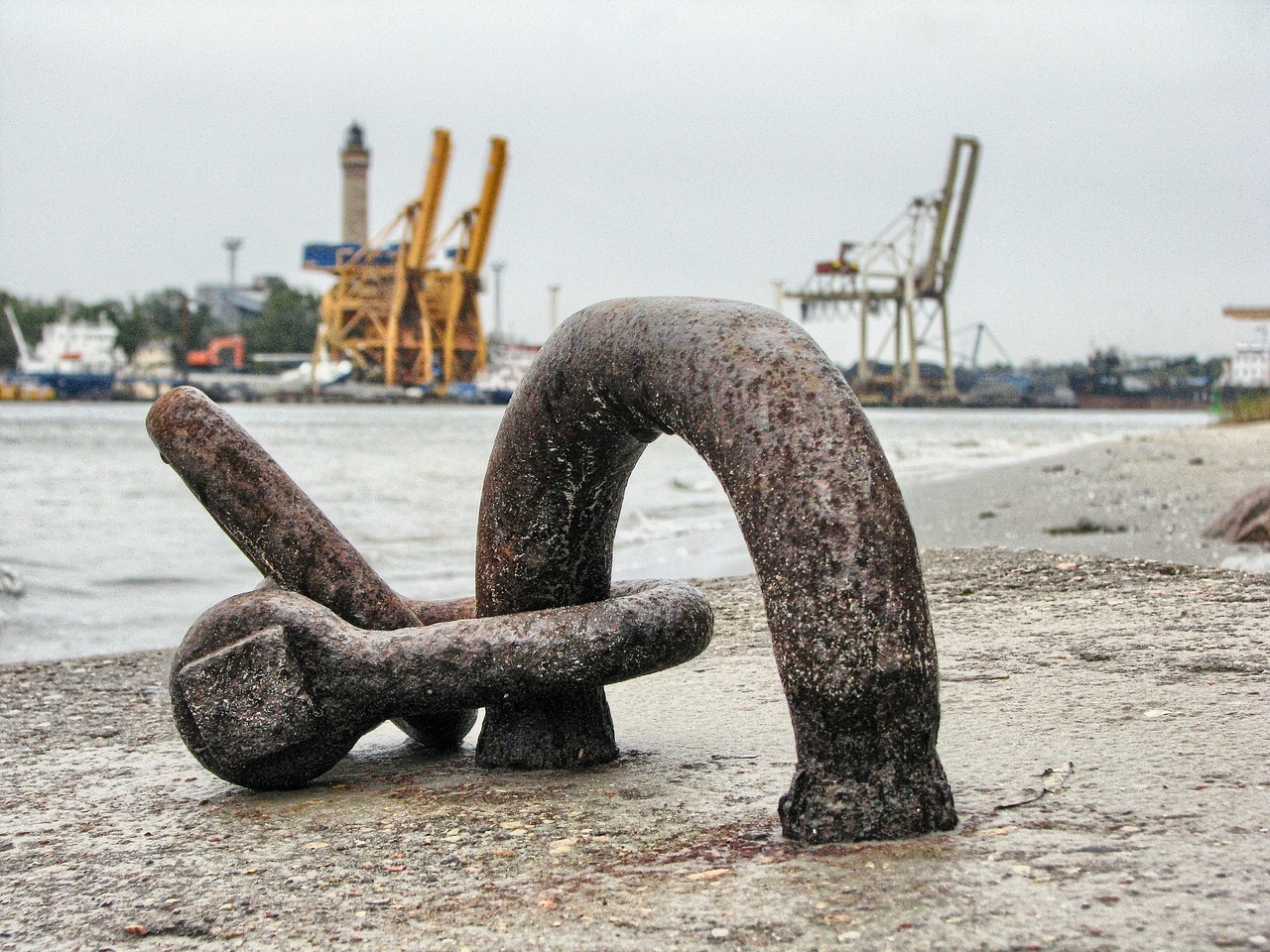 青岛疫情最新动态分析报告,最新消息与趋势分析