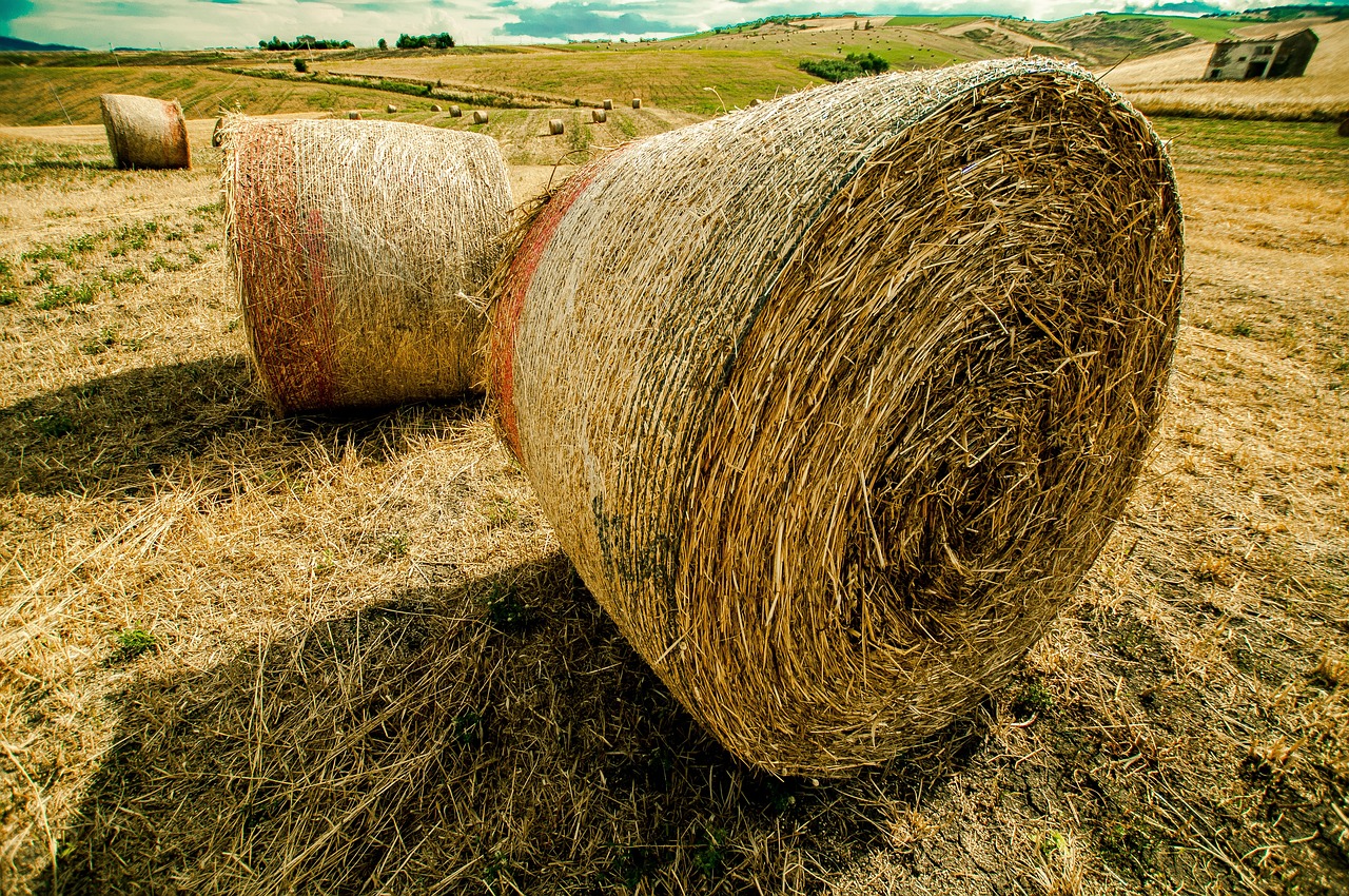 教育赫敏重塑卓越典范,最新动态引领教育变革之路