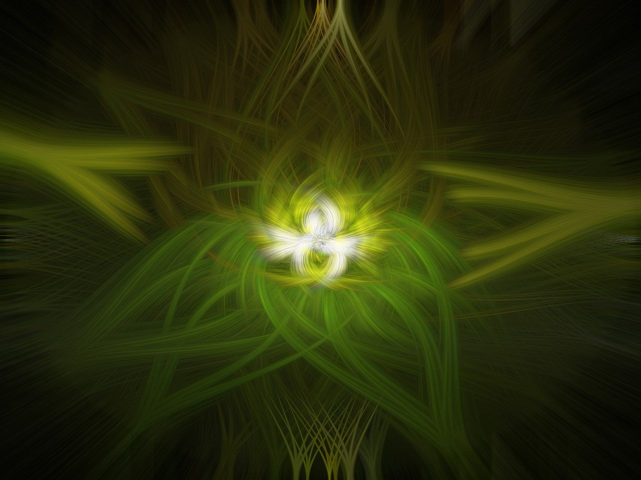 浸会大学最新动态,创新发展的前沿与未来展望展望