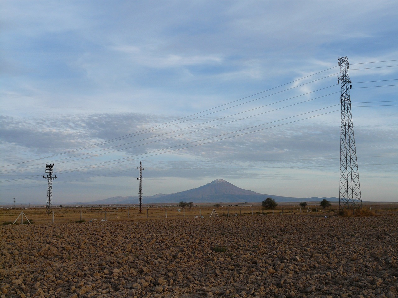 刘万良的最新动态与成就概览