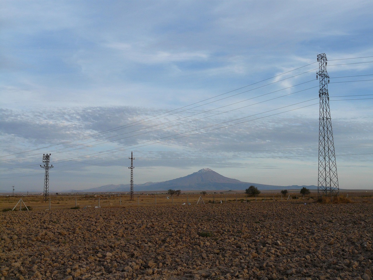 杜辉珍的最新动态与成就概览