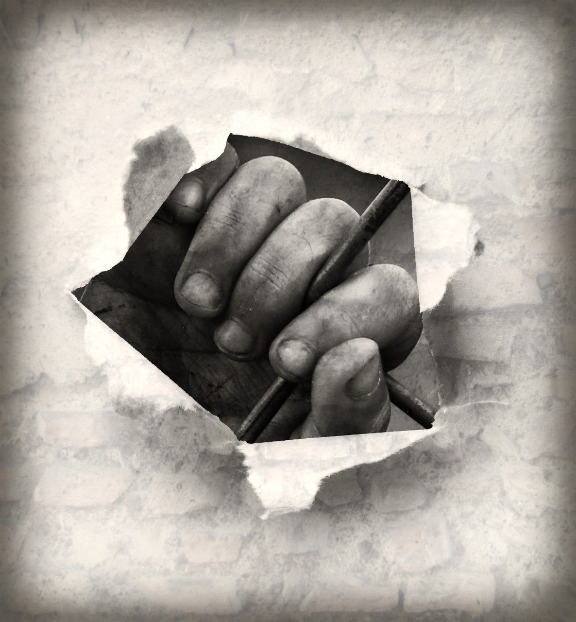 丽得姿最新动态,引领时尚潮流,成为新标杆