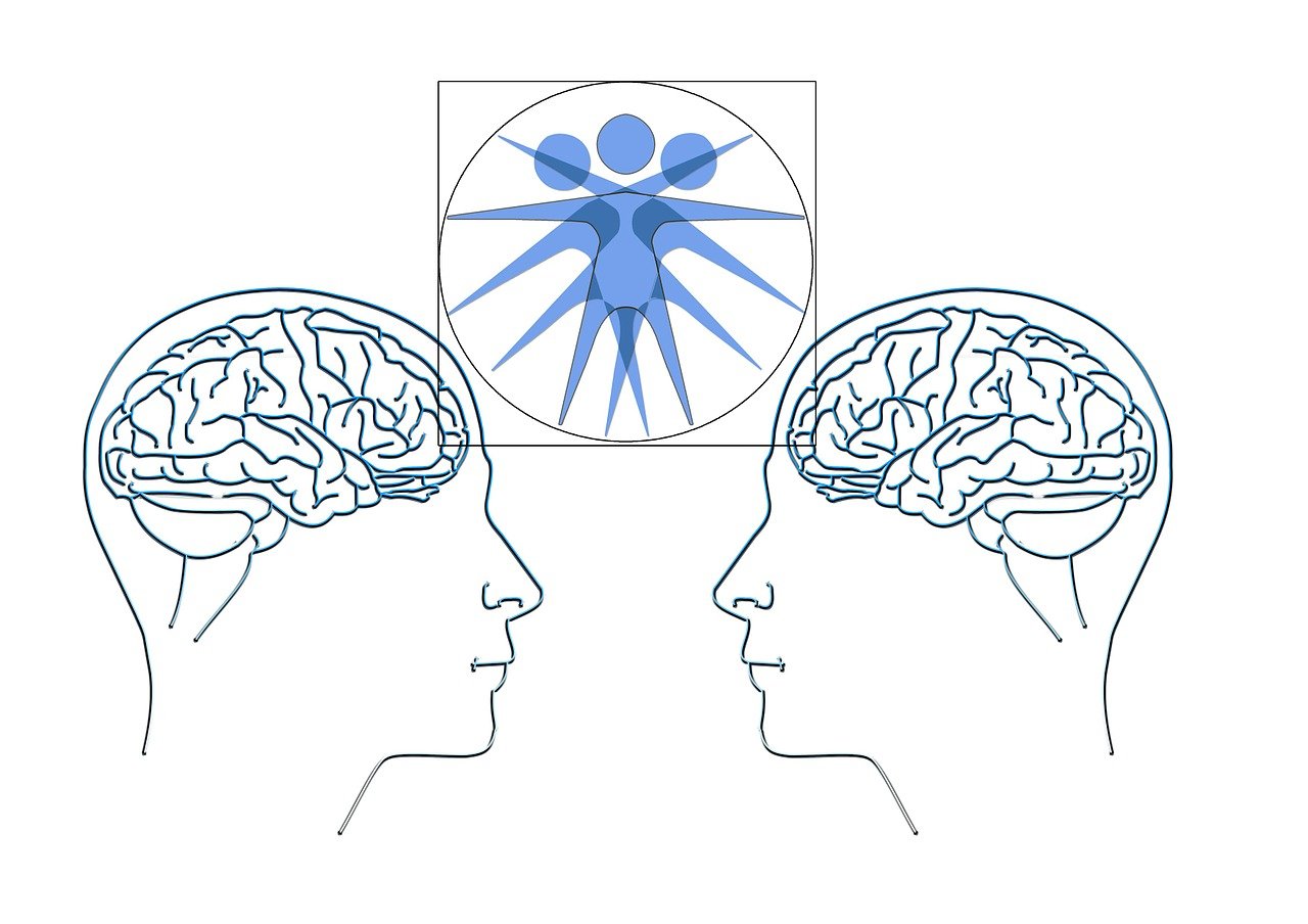 萨尔曼可汗的最新动态与影响力概述