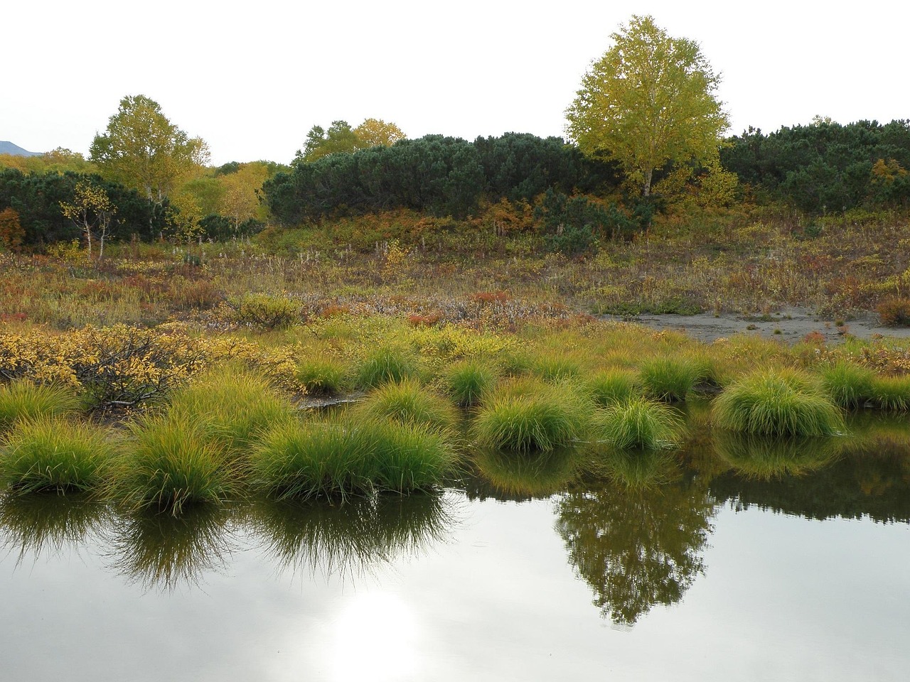 山东蛐蛐新世界探寻之旅，最新动态与发现