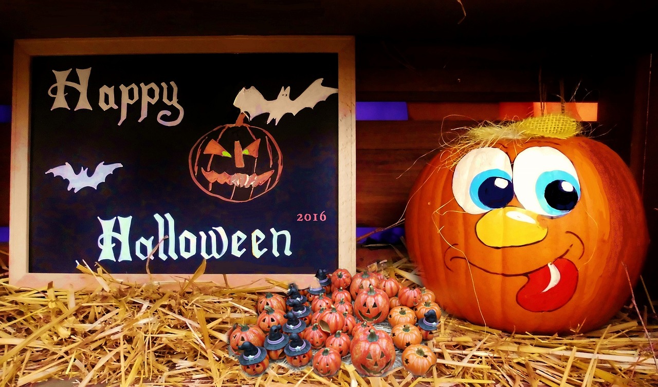 间谍过家家最新动态,神秘与欢乐的交织