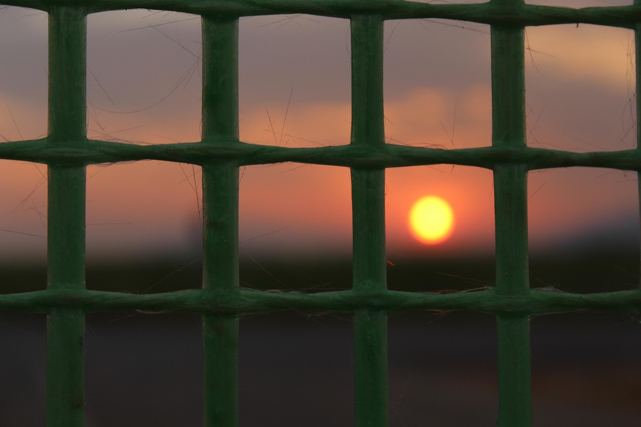 吴磊机场最新动态,星光闪耀的旅程