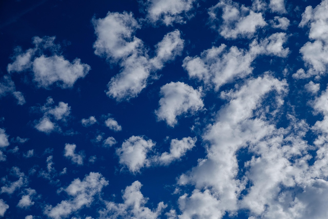 辽宁女排最新比赛动态更新