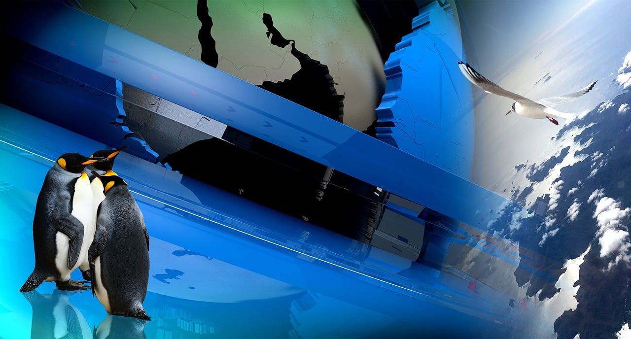 最新免费华语电影的魅力世界探秘